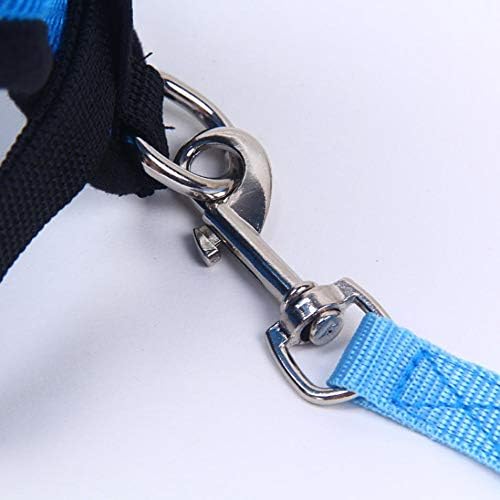Harnais Petit Chien - DogHarnessLeadLeash™ - Bleu