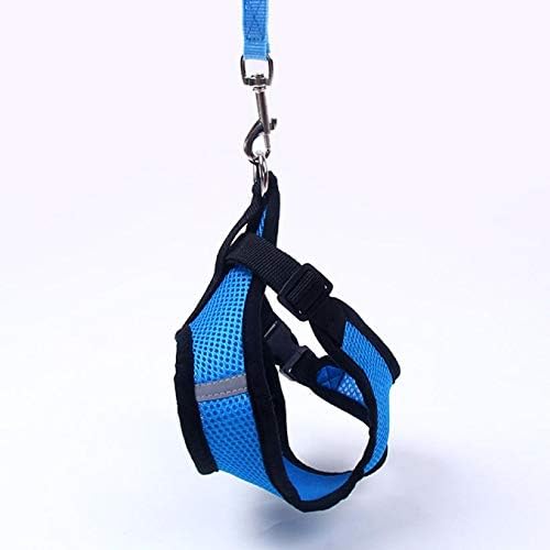 Harnais Petit Chien - DogHarnessLeadLeash™ - Bleu