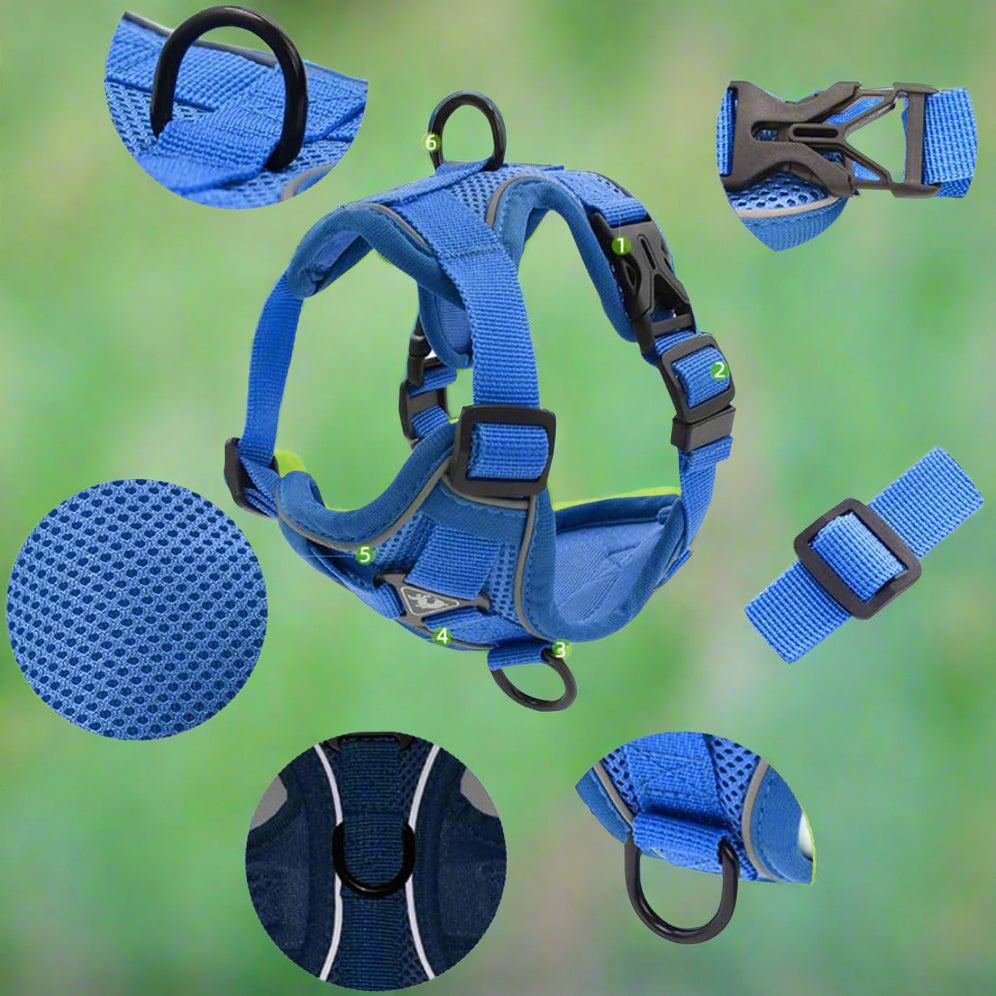 Harnais Petit Chien - DogHarnessVest™ - Bleu