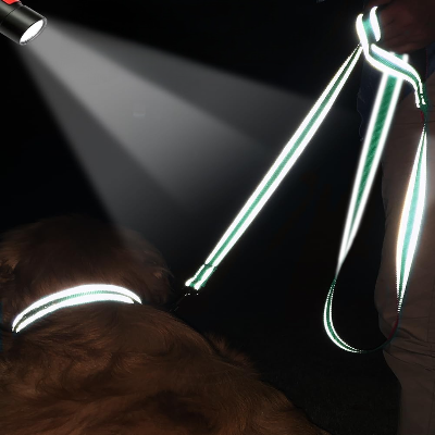 Collier Chien - DogsHarnessCollar™ - Cyan