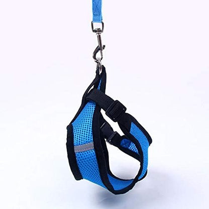 Harnais Petit Chien - DogHarnessLeadLeash™ - Bleu