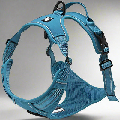 Harnais - PullFree™ - Bleu
