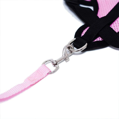 Harnais Petit Chien - DogHarnessLeadLeash™ - Rose