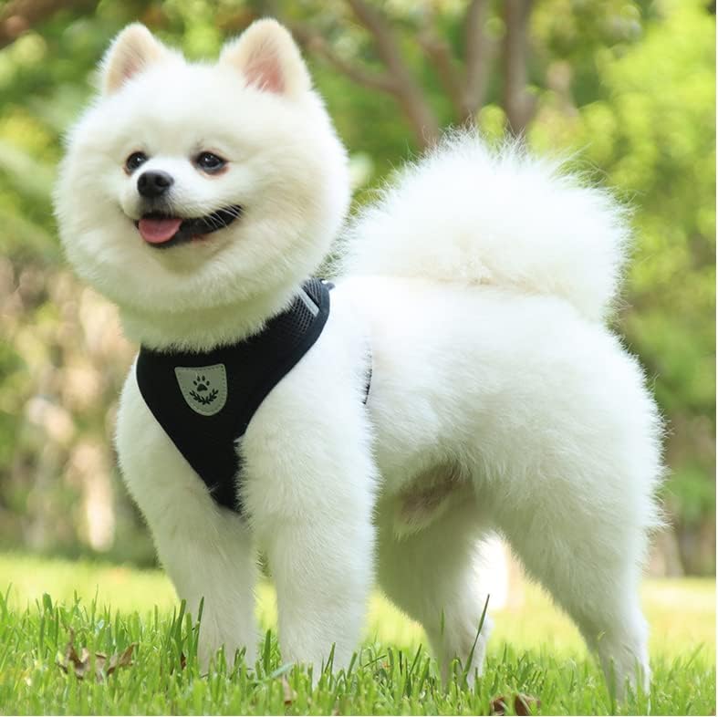 Harnais Petit Chien - DogHarnessLeadLeash™ - Noir