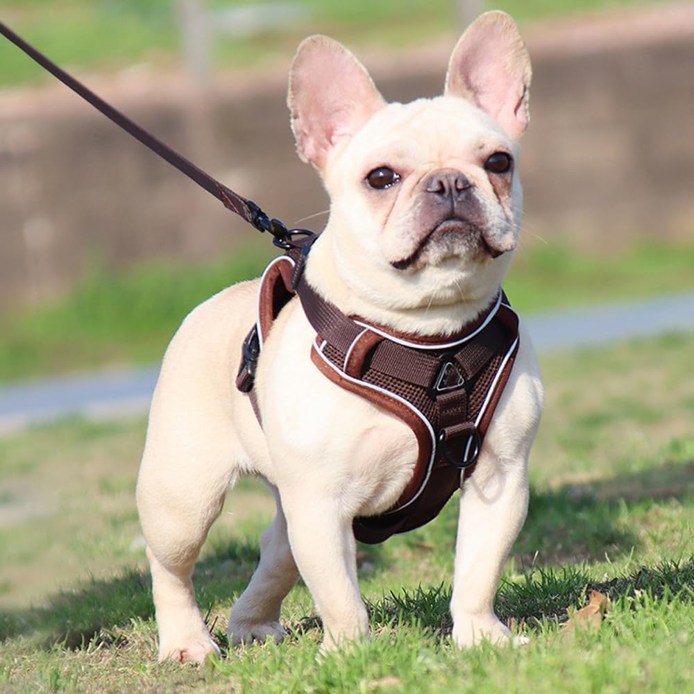 Harnais Petit Chien - DogHarnessVest™ - Café
