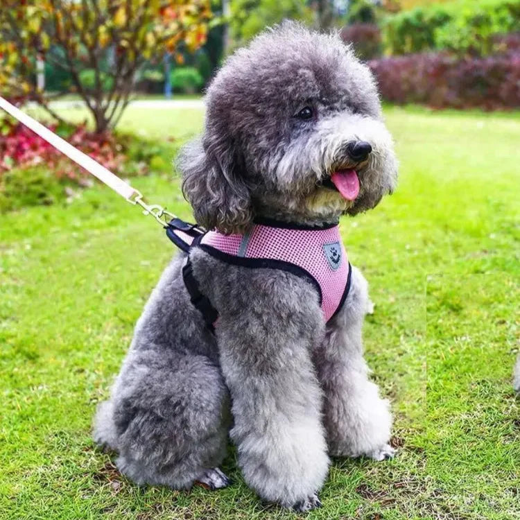 Harnais Petit Chien - DogHarnessLeadLeash™ - Rose