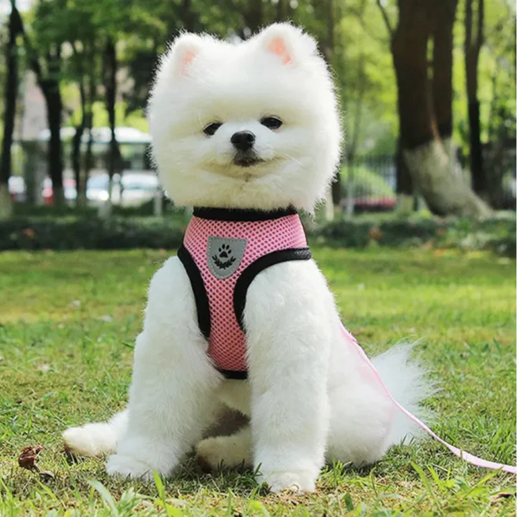 Harnais Petit Chien - DogHarnessLeadLeash™ - Rose