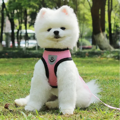 Harnais Petit Chien - DogHarnessLeadLeash™ - Rose