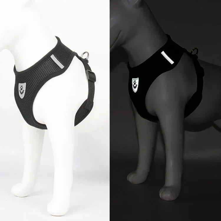 Harnais Petit Chien - DogHarnessLeadLeash™ - Noir