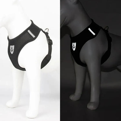 Harnais Petit Chien - DogHarnessLeadLeash™ - Noir