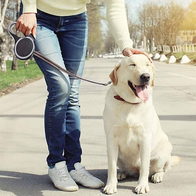 Laisse pour chien - MaxLeash™ - Noir