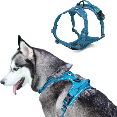 Harnais - PullFree™ - Bleu