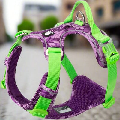 Harnais - PullFree™ - Camouflage Mauve
