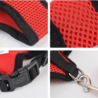 Harnais Petit Chien - DogHarnessLeadLeash™ - Rouge