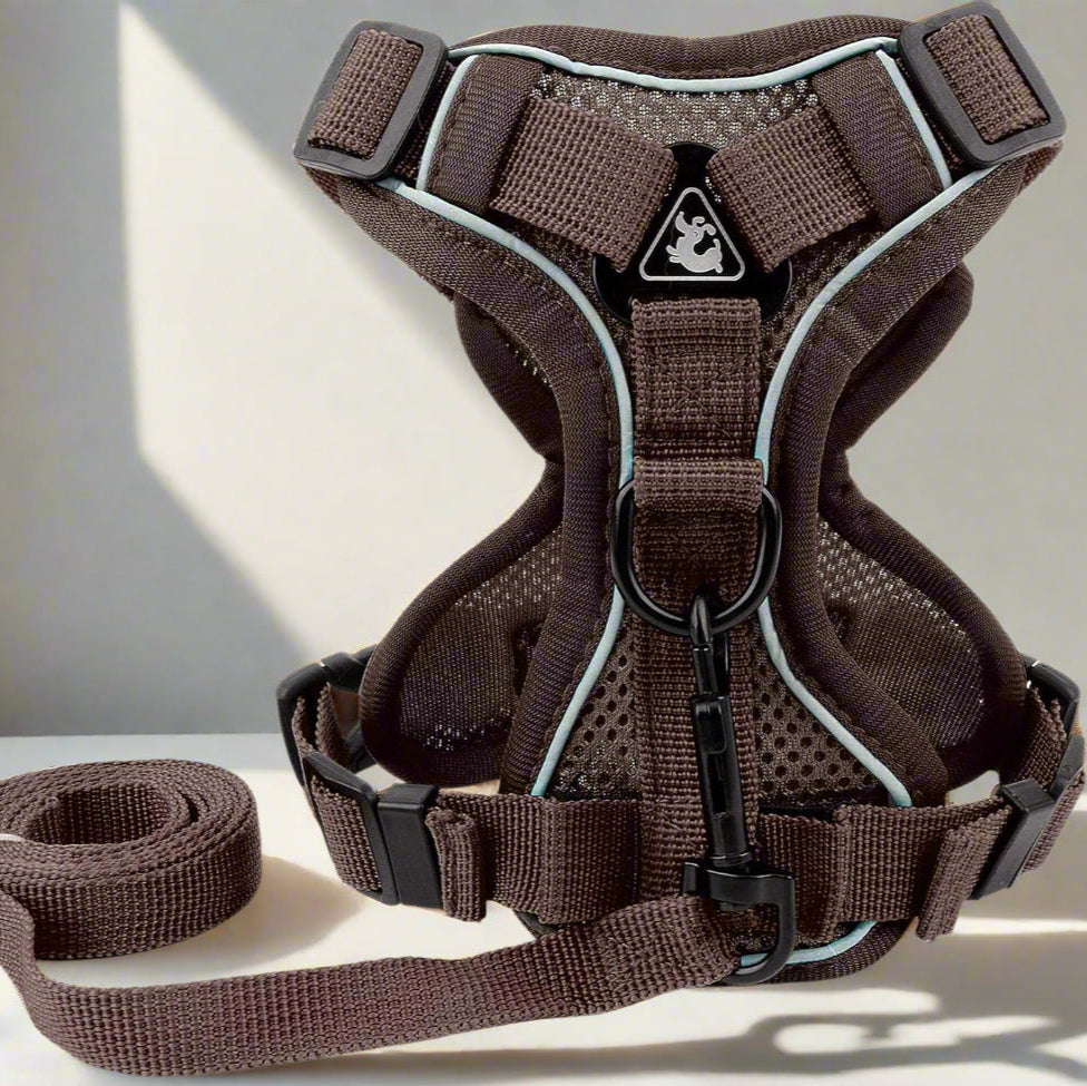 Harnais Petit Chien - DogHarnessVest™ - Café