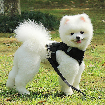 Harnais Petit Chien - DogHarnessLeadLeash™ - Noir