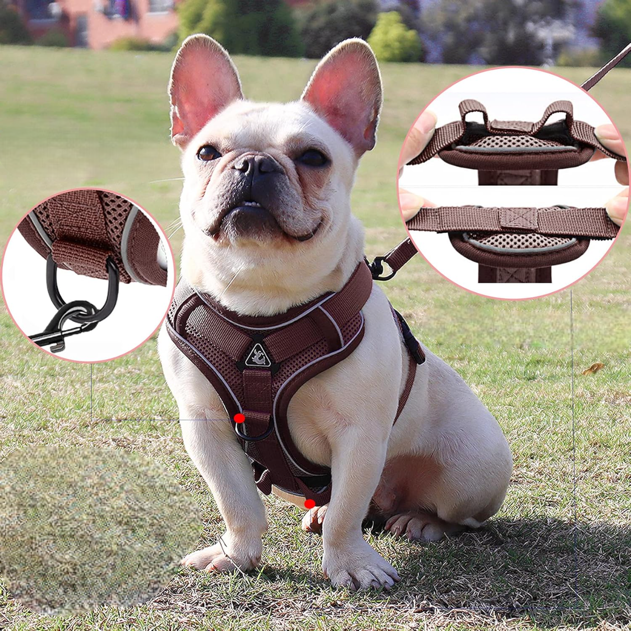 Harnais Petit Chien - DogHarnessVest™ - Café