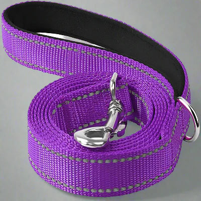 Collier Chien - DogsHarnessCollar™ - Violet