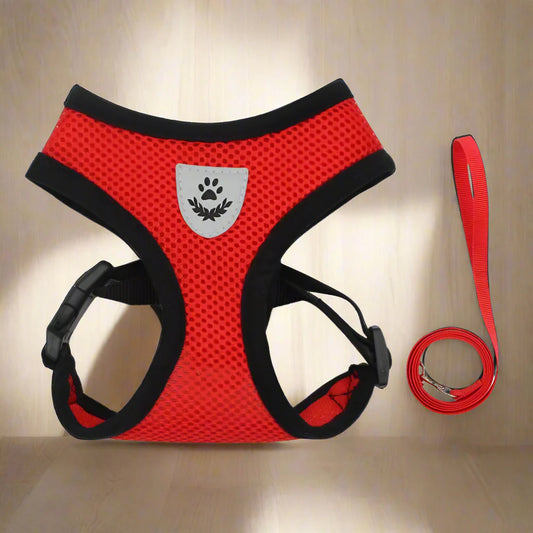 Harnais Petit Chien - DogHarnessLeadLeash™ - Rouge
