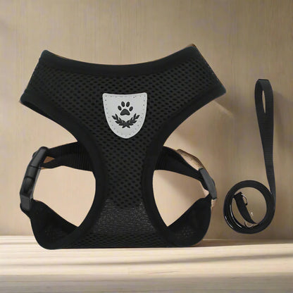 Harnais Petit Chien - DogHarnessLeadLeash™ - Noir