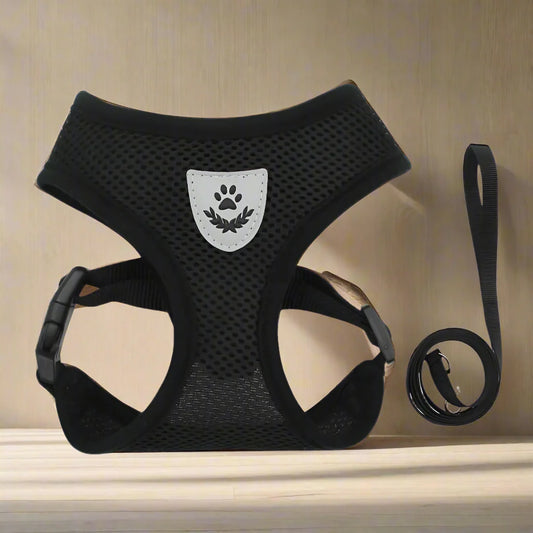 Harnais Petit Chien - DogHarnessLeadLeash™ - Noir