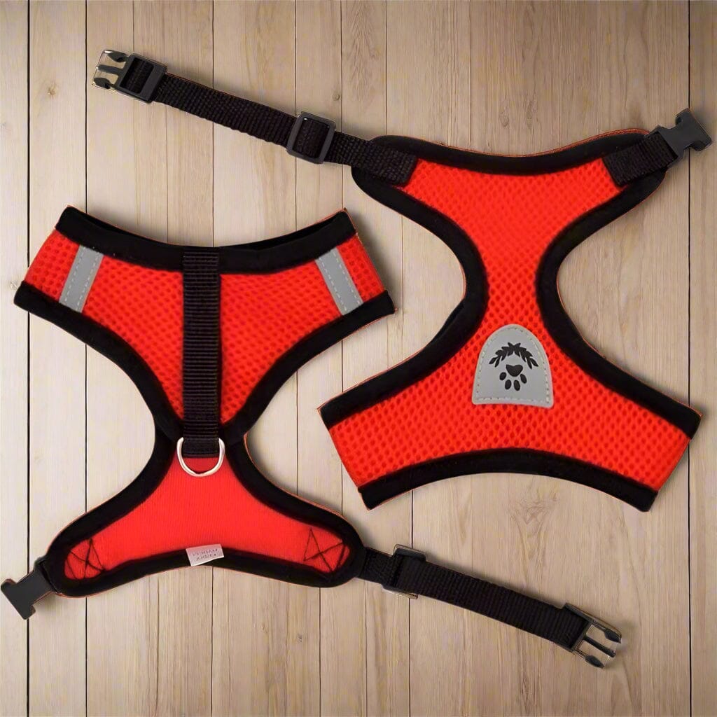 Harnais Petit Chien - DogHarnessLeadLeash™ - Rouge