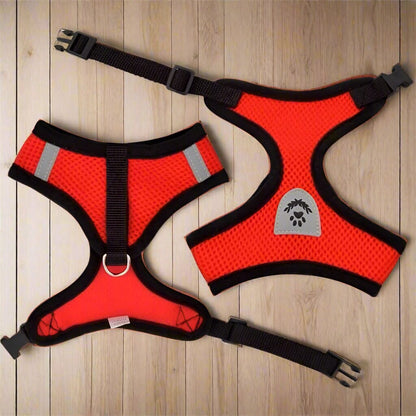 Harnais Petit Chien - DogHarnessLeadLeash™ - Rouge
