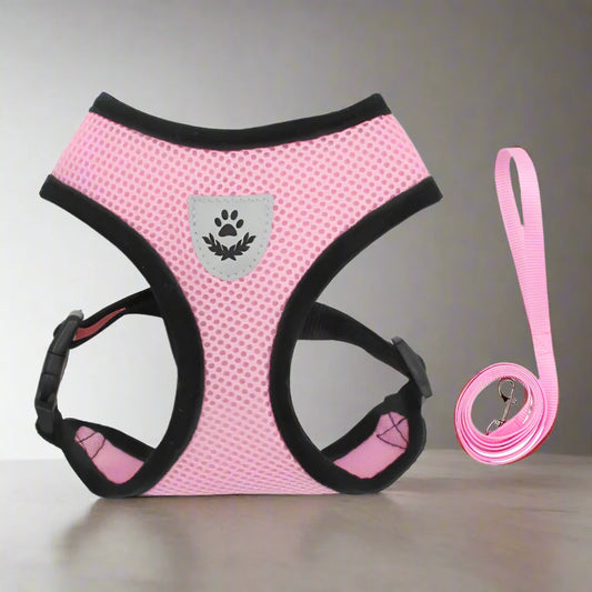 Harnais Petit Chien - DogHarnessLeadLeash™ - Rose