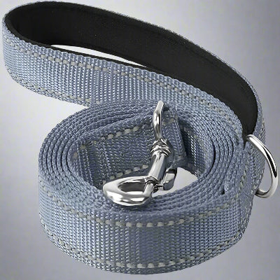 Collier Chien - DogsHarnessCollar™ - Gris