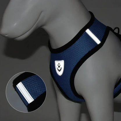 Harnais Petit Chien - DogHarnessLeadLeash™ - Bleu