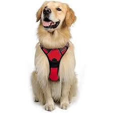 harnais-chien-grande-taille-ergonomie