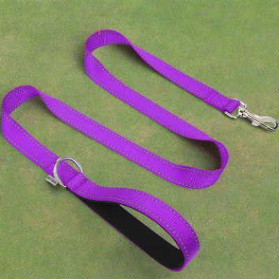 Collier Chien - DogsHarnessCollar™ - Violet