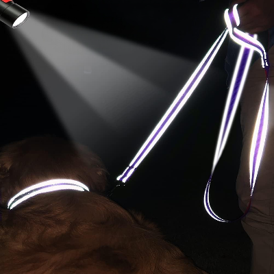 Collier Chien - DogsHarnessCollar™ - Violet