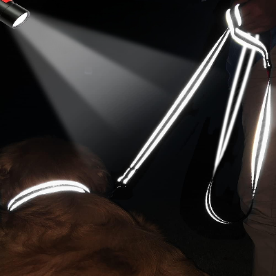 Collier Chien - DogsHarnessCollar™ - Noir