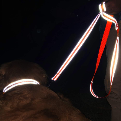 Collier Chien - DogsHarnessCollar™ - Orange