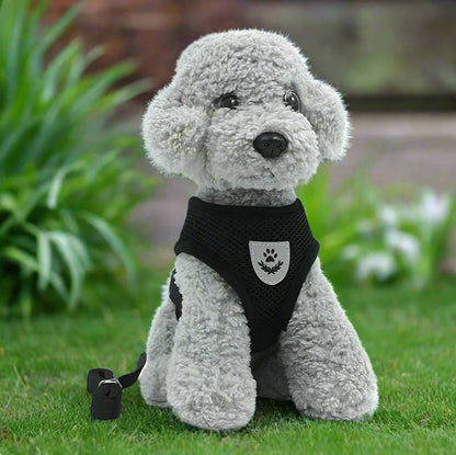 Harnais Petit Chien - DogHarnessLeadLeash™ - Noir